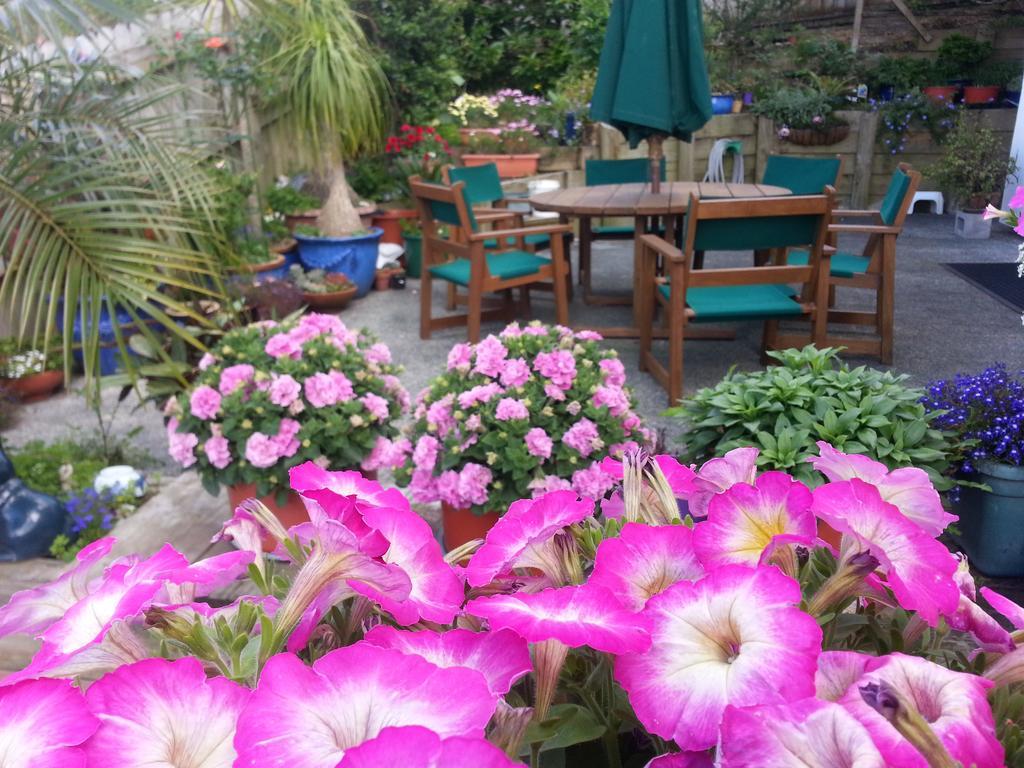 Lush&Co Auckland Bed&Breakfast Exterior foto