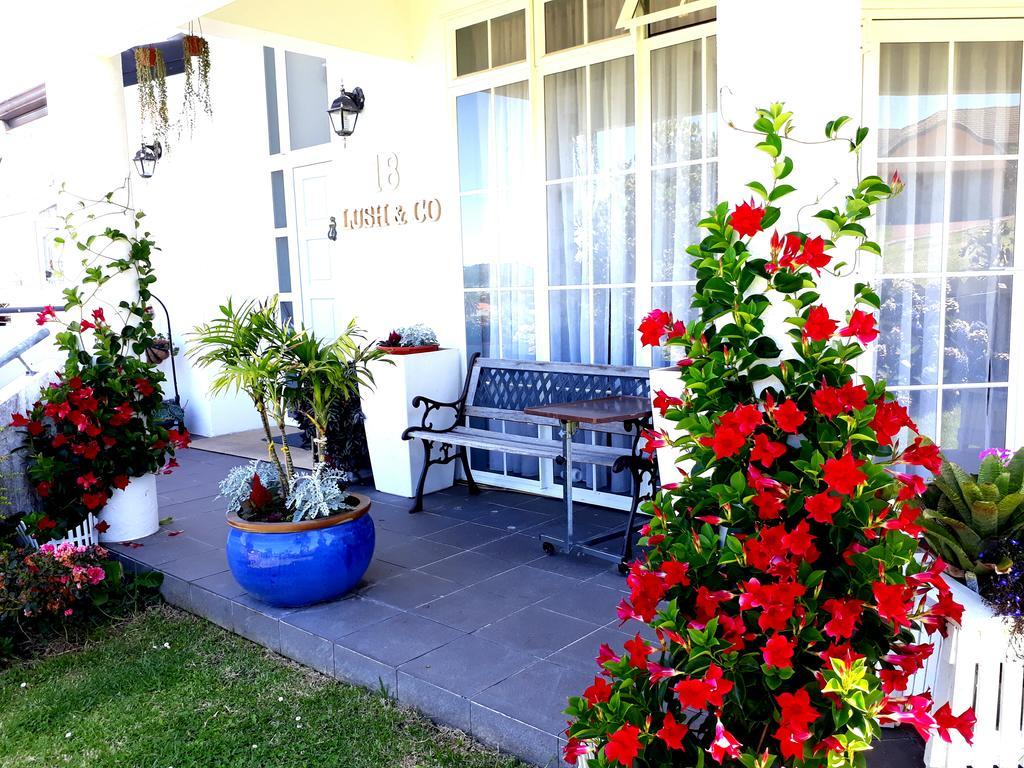 Lush&Co Auckland Bed&Breakfast Exterior foto